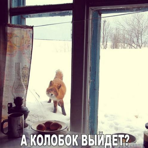 колобок.jpg