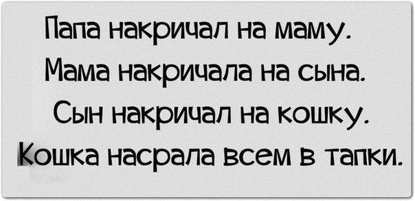 накричал папа.jpg