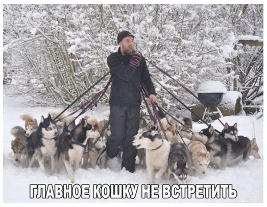 на прогулке.jpg