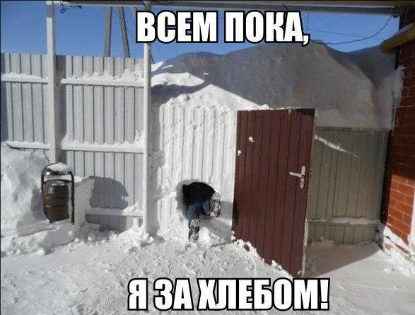за хлебом.jpg