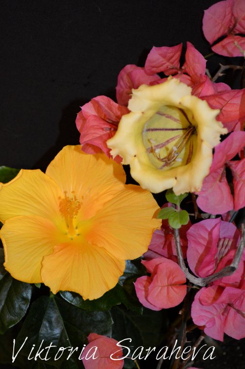 DSC_0116_500x752.jpg