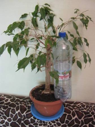 IMG_3283.JPG