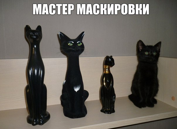 мастер маскировки.jpg