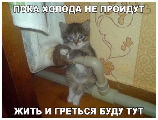 холода.jpg