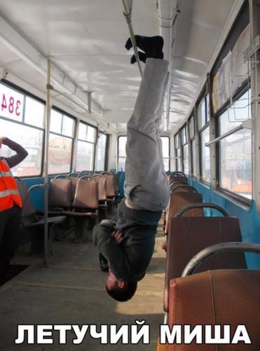 летучий миша.jpg