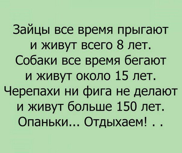 отдыхаем.jpg