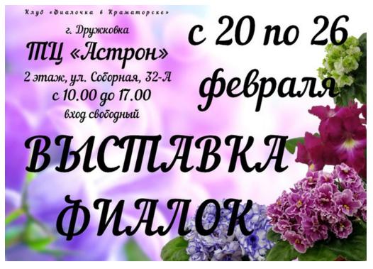 выставка фиалок.jpg