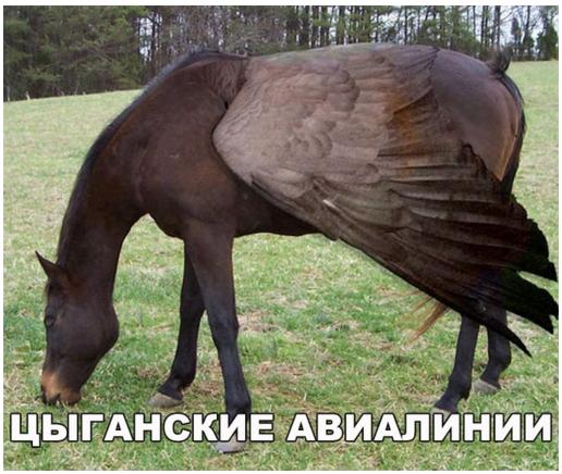 авиалинии.jpg