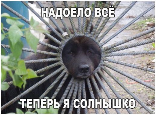 солнышко.jpg