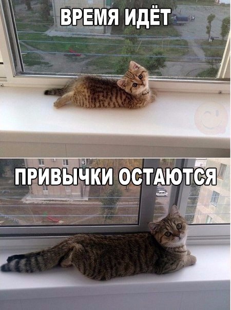 привычка.jpg