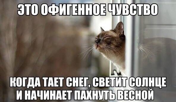 запах весны.jpg