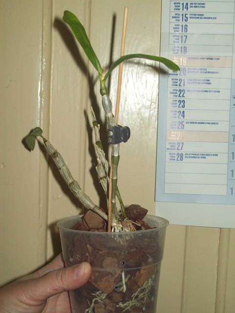 100_2031.JPG