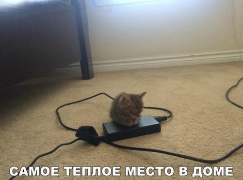 тепло в доме.jpg