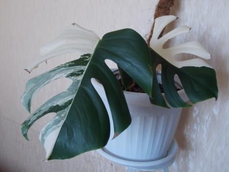 DSCN3108.JPG