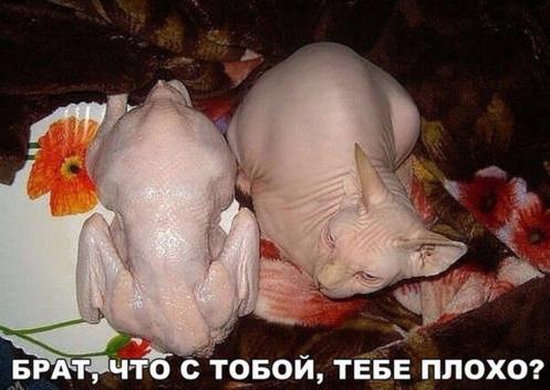 когда плохо.jpg