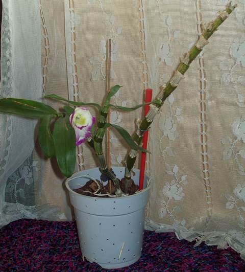 100_2046.JPG