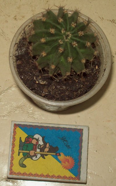 100_2055.JPG