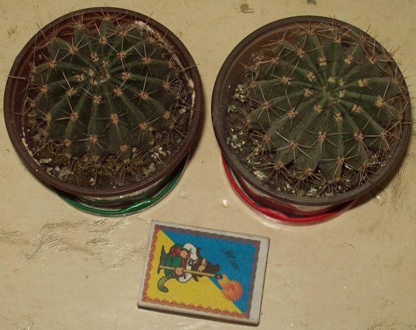 100_2053.JPG