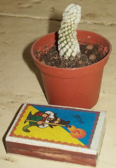 100_2057.JPG