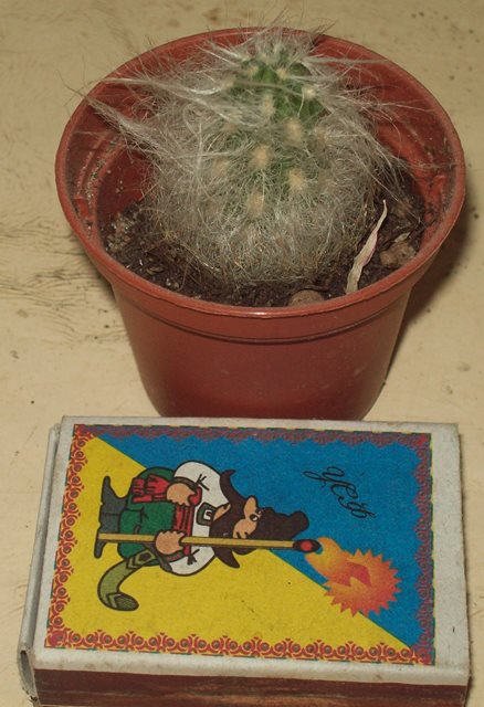 100_2058.JPG