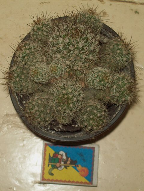 100_2056.JPG