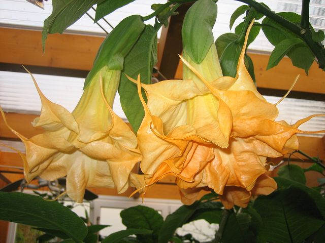 22f65e41e285.jpg