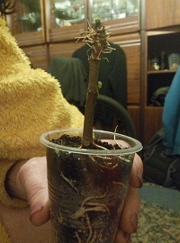 P70316-221128.jpg