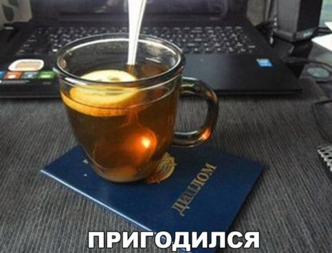 диплом пригодился.jpg