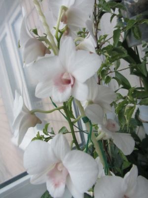 IMG_4815.jpg
