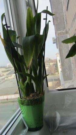 IMG_5002.jpg