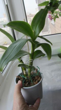 IMG_5004.jpg
