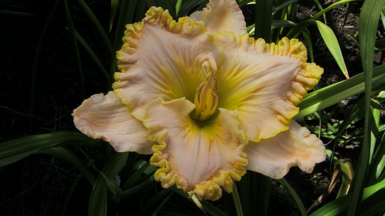 S73F1215.JPG