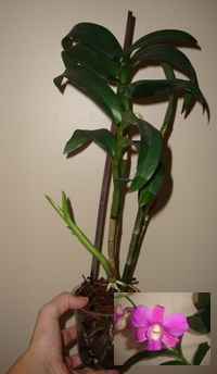 021_cr.jpg