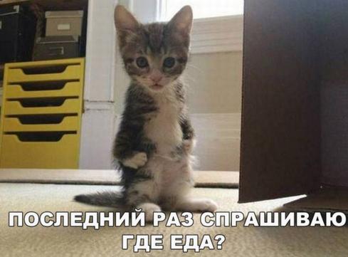 где еда.jpg