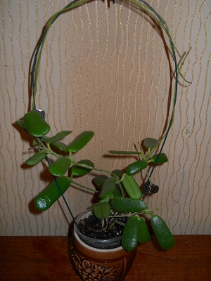 DSCN8003.JPG