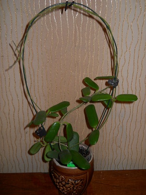 DSCN8002.JPG