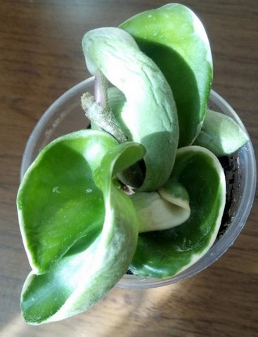 2017-04-05_220030.jpg