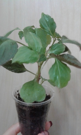 20170329_211239.jpg