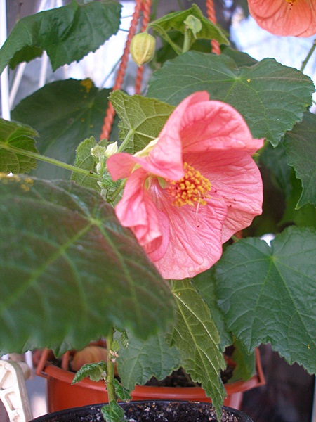 P1010228.JPG