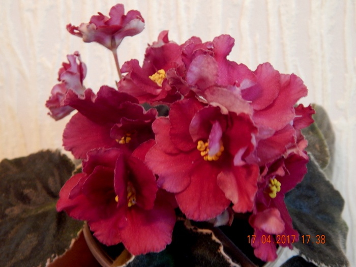 DSCN7719.JPG