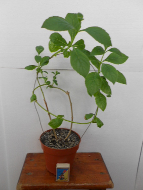DSCN9693.JPG