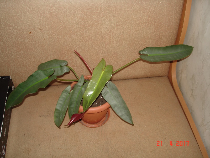DSC06675.JPG