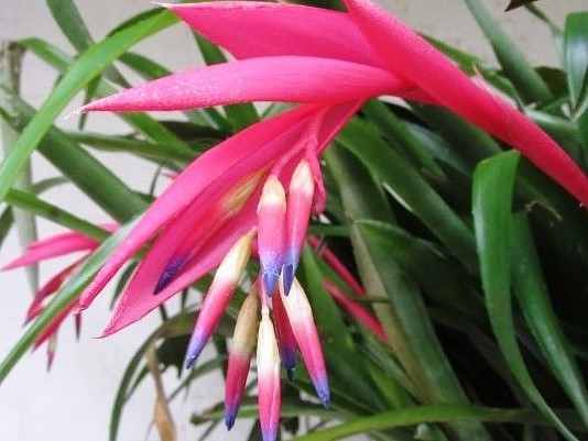 image (10).jpg