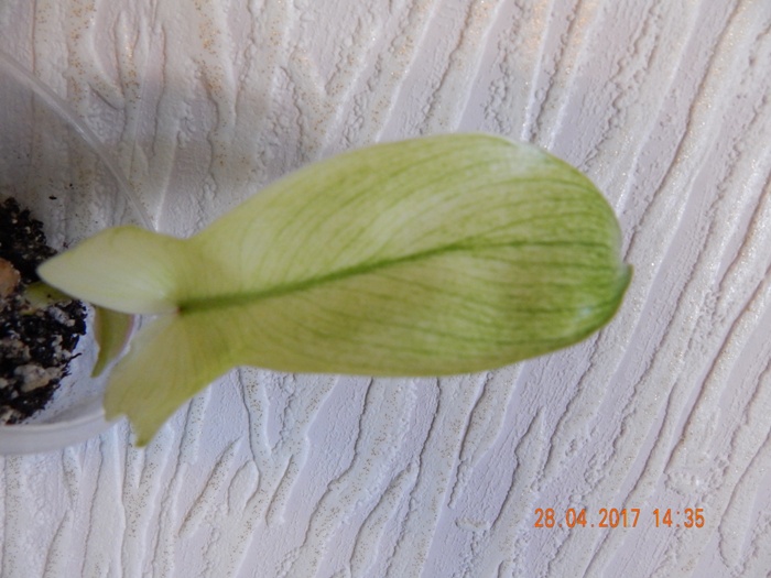 DSCN7773.JPG