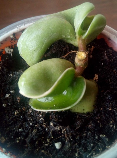 2017-05-02_131609.jpg