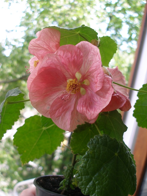 P1010336.JPG
