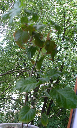 P1010002.JPG