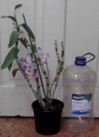 20170514_195935-1.jpg
