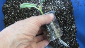 IMG_5049.jpg