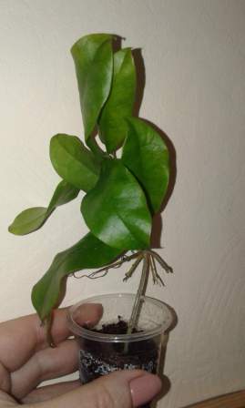 image (54).jpg